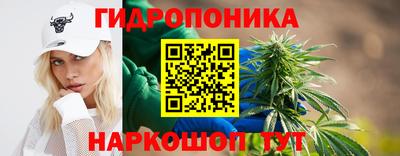 таблы Краснознаменск