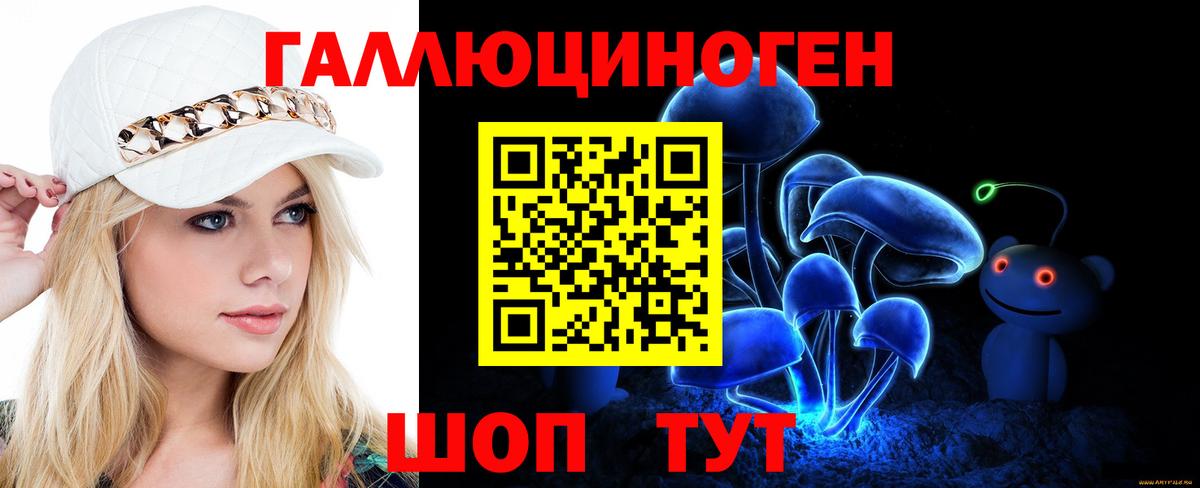 Карачаевск  Галлюциногенные грибы Psilocybine cubensis  Вход с VPN 