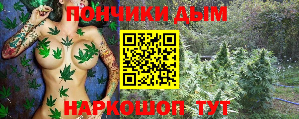 Канабис SATIVA & INDICA Карачаевск